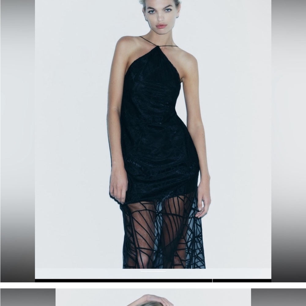 Zara Elegant Black Halter Dress